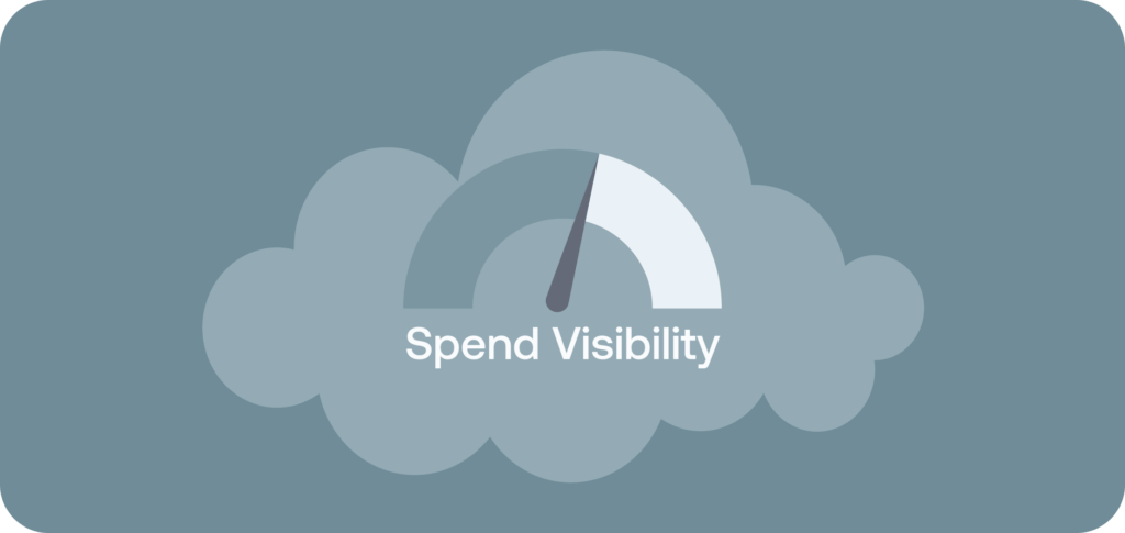 Where do most companies fall short of effective spend visibility?